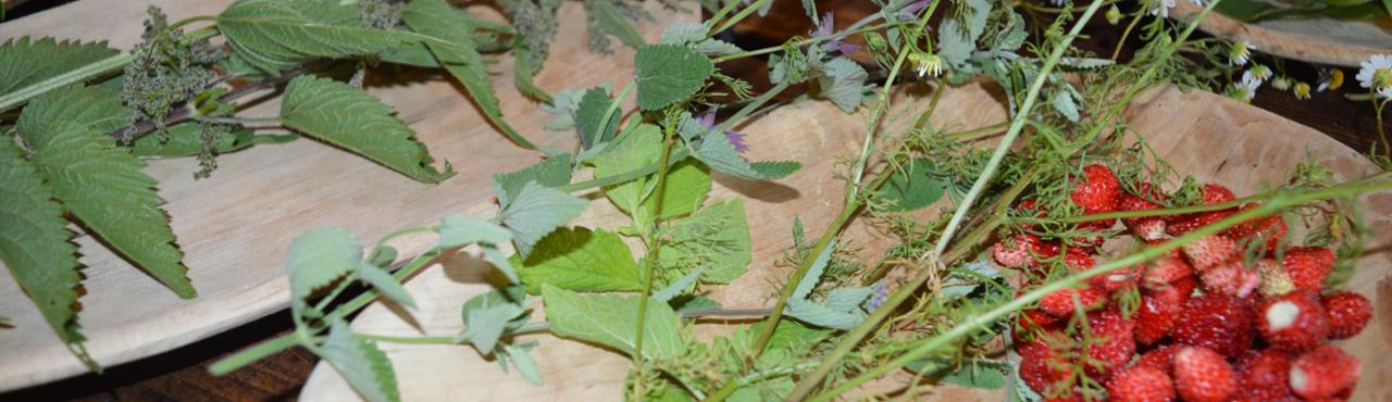 ARMONIE PER LA PELLE: OLEOLITI DEI FIORI